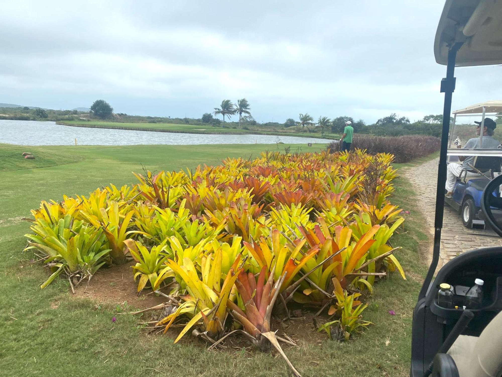 - Arete Golfe Clube *